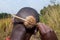 African man using a dry lion`s tail orÂ  wild dagga Leonotis leonurus flower as a hair brush, Uganda